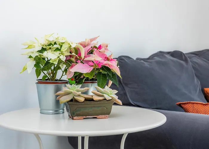 Apartment Picafort Sea Breeze *